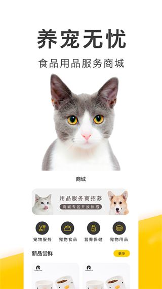 买只宠物图片1