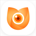 图次元app