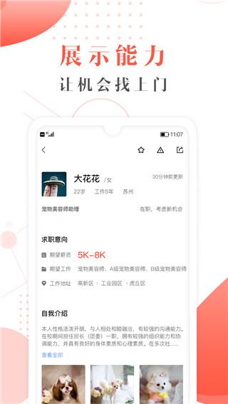 宠才宝图片1