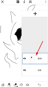 画世界