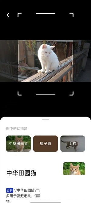AI相机使用3