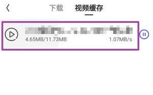 下载视频的2