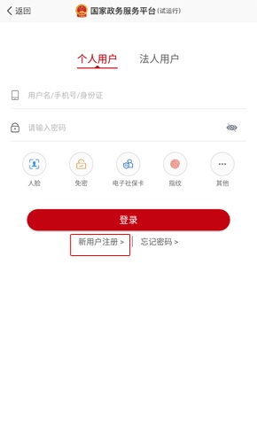 国家政务服务平台图片2