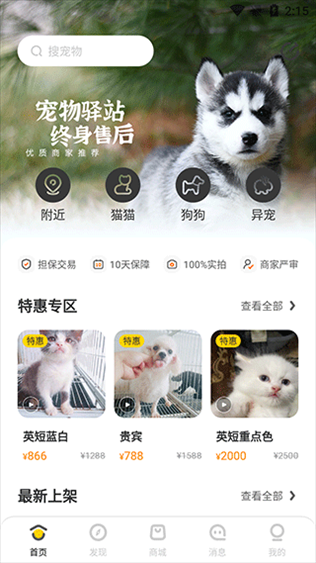买只宠物2