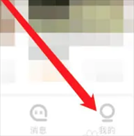 买只宠物6