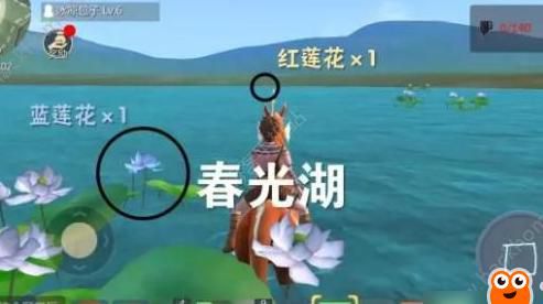 创造与魔法中蓝莲在哪个位置