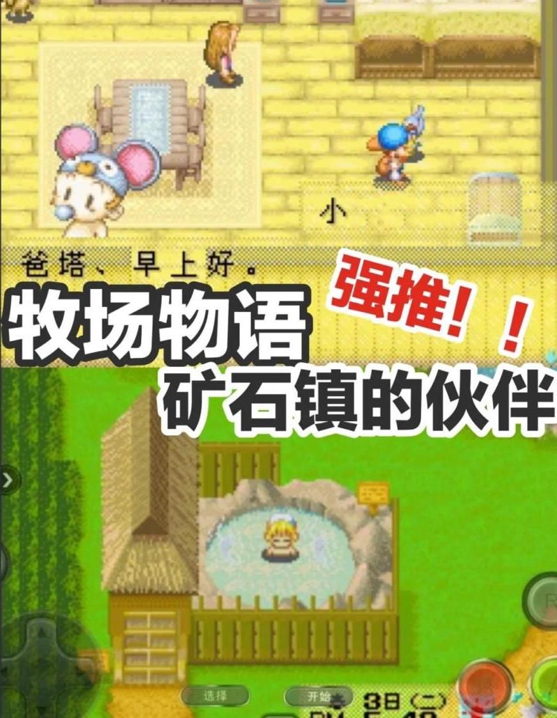 牧场物语矿石镇的伙伴们好感度怎么看​​​​​​​