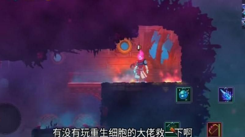 重生细胞愿望在哪获得
