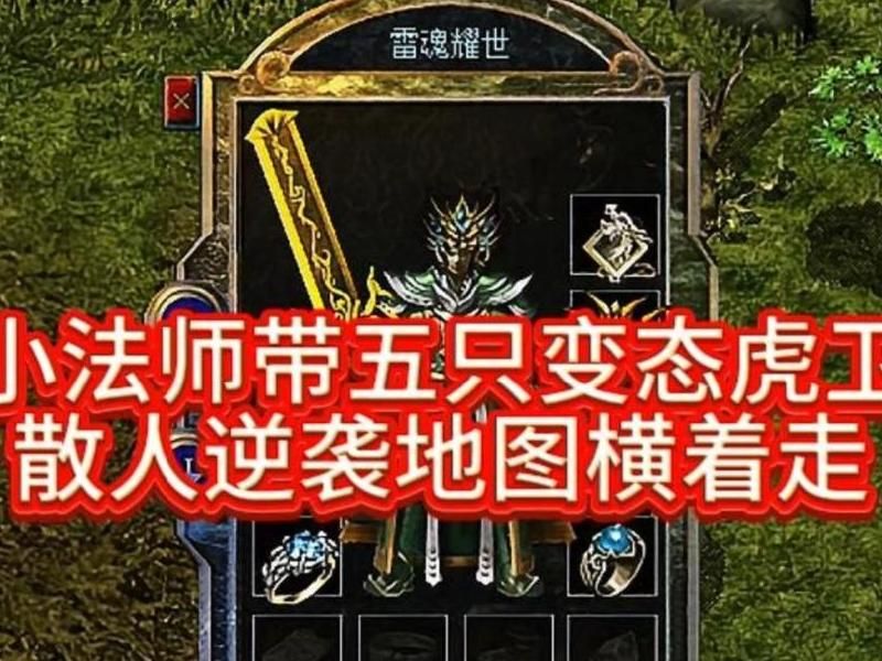 传奇法师招虎卫怎么样