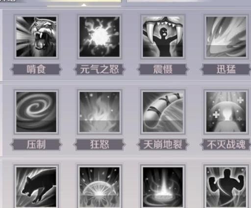 完美世界玄武地精学什么技能好用