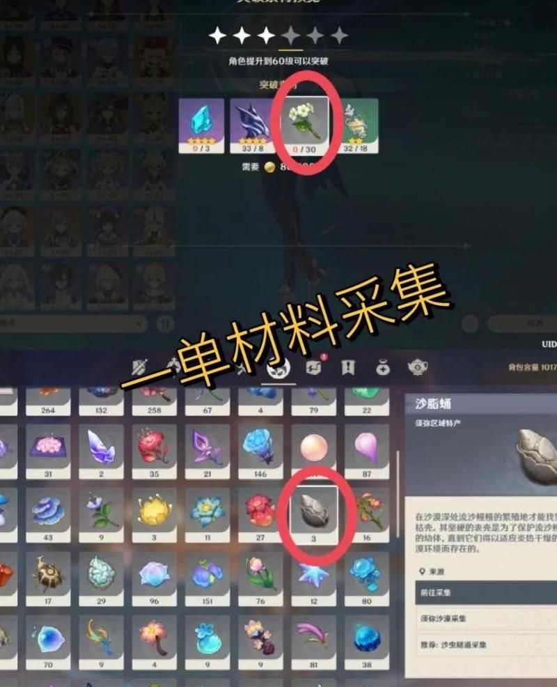 原神新手怎么快速升级!w300
