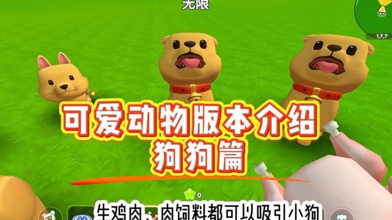 迷你世界吃肉饲料的动物有什么技能