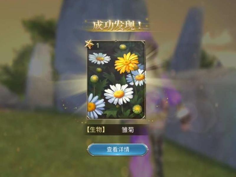 大航海之路诗人的雏菊在哪