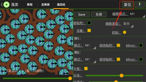 细胞实验室新手5