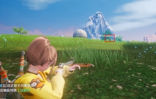 诺亚之心美服副武器介绍5
