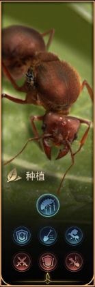 小小蚁国九游版游戏图片8