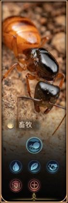 小小蚁国九游版游戏图片10