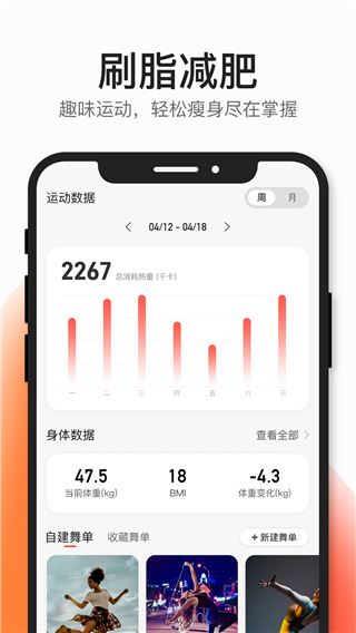 软件截图(3)