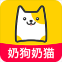 买只宠物