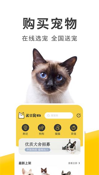 软件截图(4)