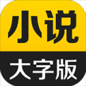 得间大字版最新版