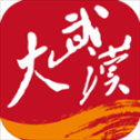 大武汉