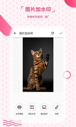 软件截图(2)