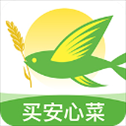 春播