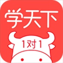 学天下1对1
