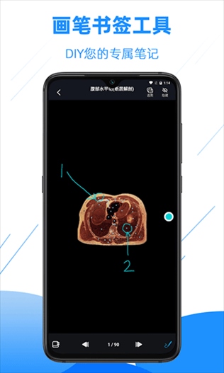 软件截图(5)