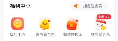 爱奇艺随刻怎么领会员