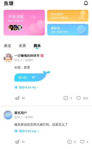 鱼耳6