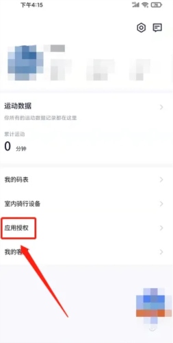 顽鹿运动苹果版7