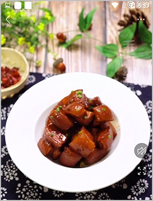 美食杰家常菜谱大全vip版和普通版区别