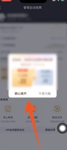 爱奇艺图片5