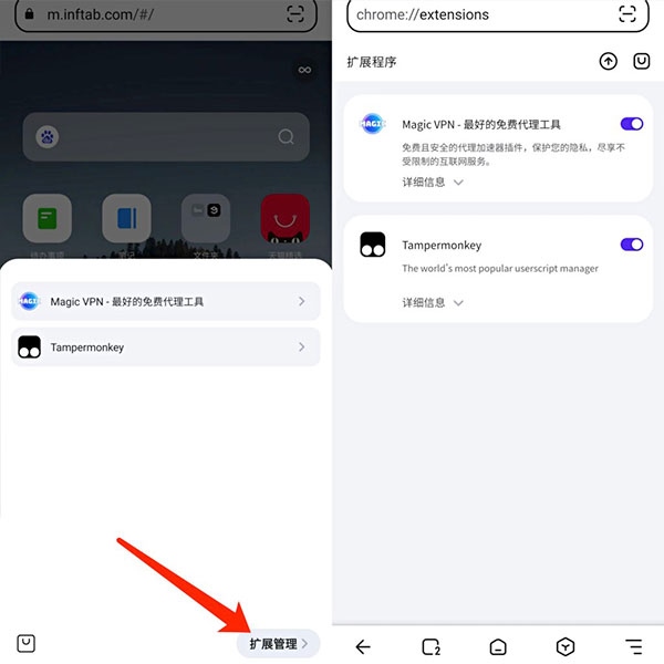 狐猴浏览器图片5