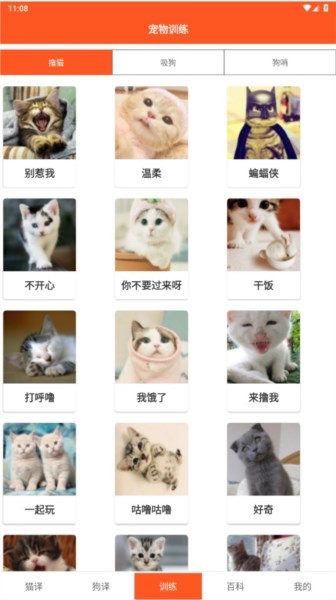 萌趣猫狗翻译器图片5