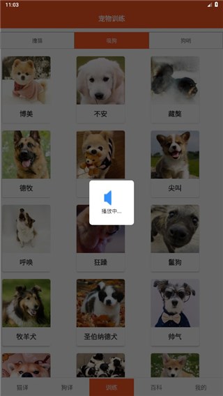 萌趣猫狗翻译器图片6