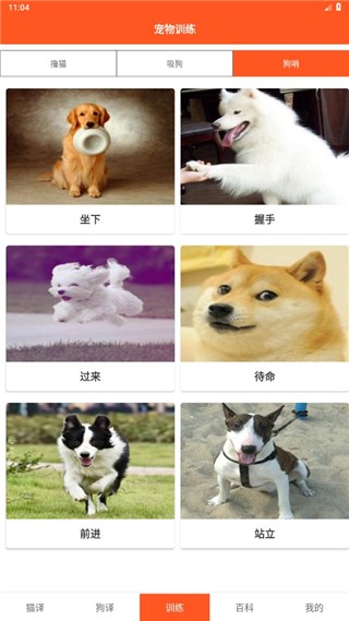 萌趣猫狗翻译器图片7