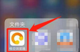 悟空浏览器