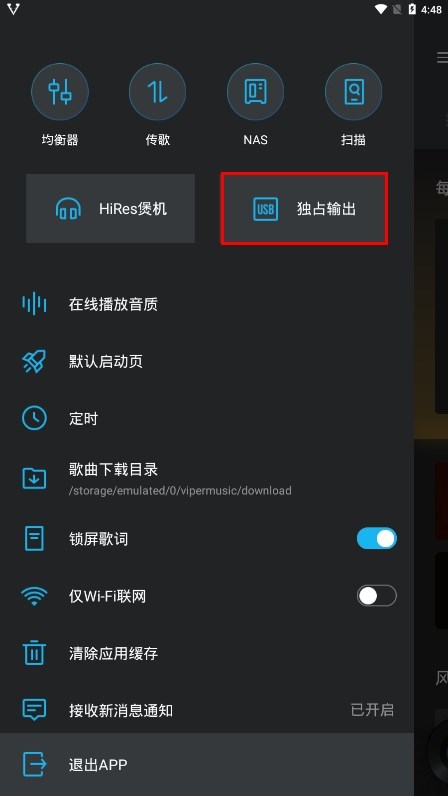 VIPER HiFi图片10