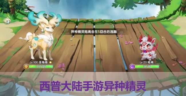 西普大陆非限定精灵最好选哪一个